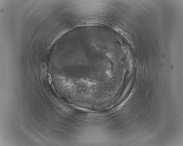 X0000074041449200609111727