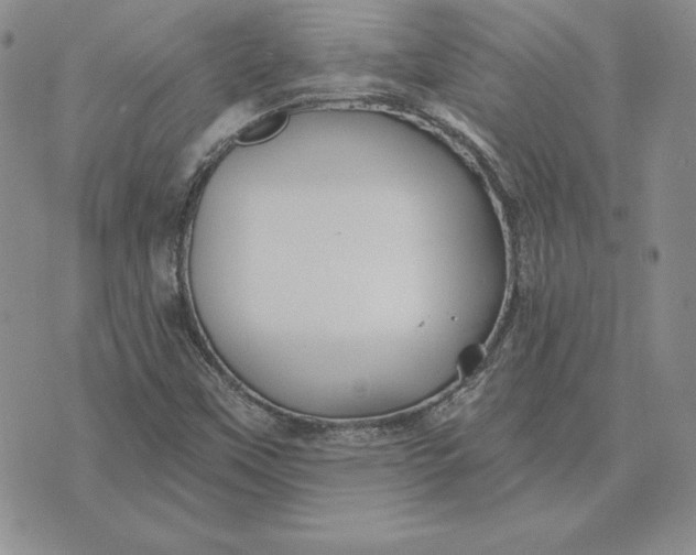 X0000074041451200609111727