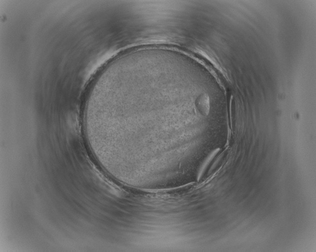 X0000074041452200609111727