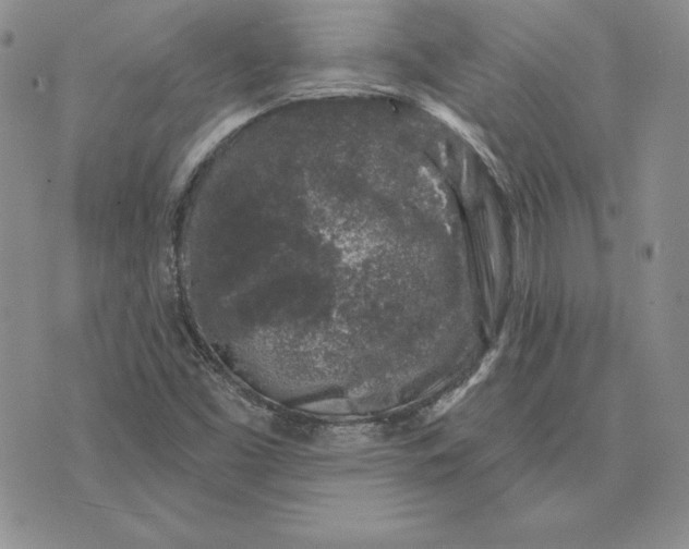 X0000074041453200609111727