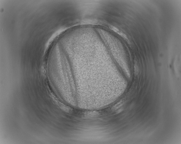 X0000074041454200609111727