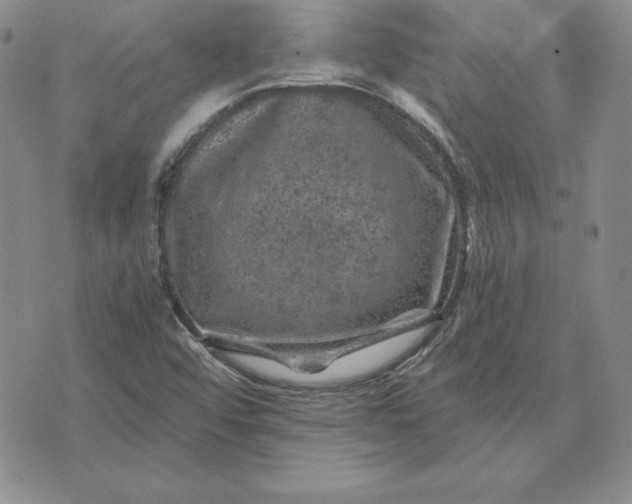 X0000074041456200609111727