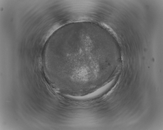 X0000074041457200609111727