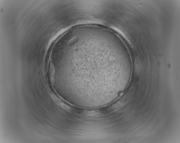 X0000074041460200609111727