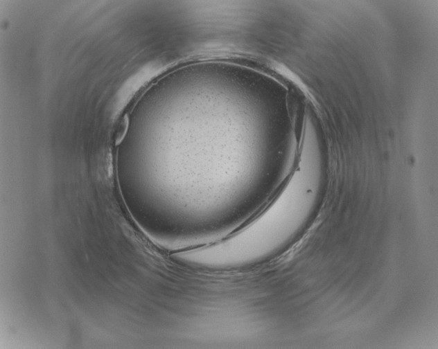 X0000074041461200609111727