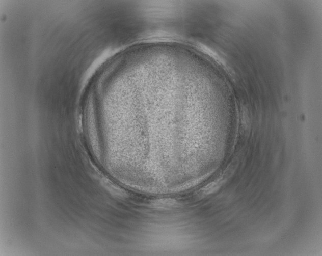 X0000074041462200609111727