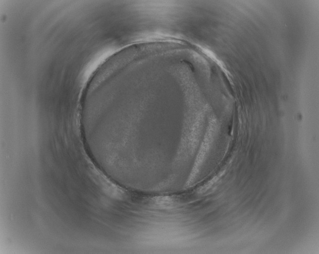 X0000074041463200609111727