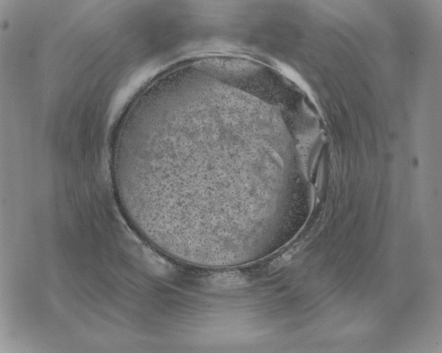 X0000074041464200609111727