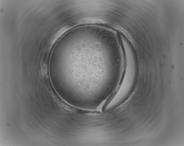 X0000074041465200609111727