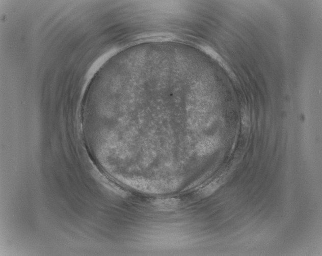 X0000074041466200609111727