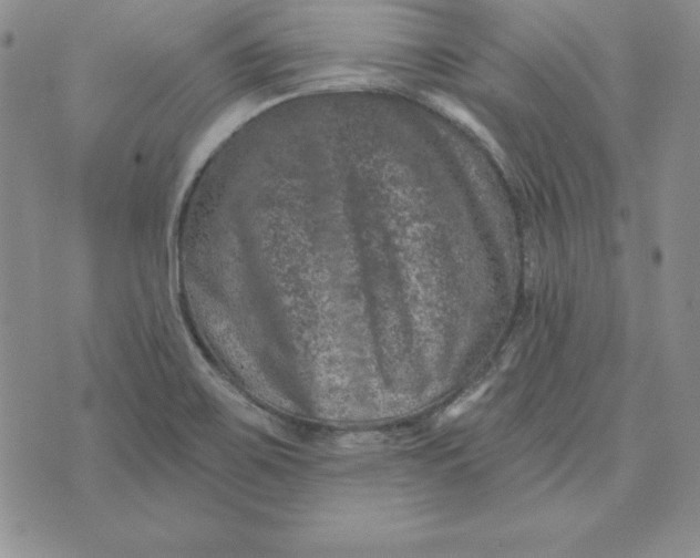 X0000074041467200609111727