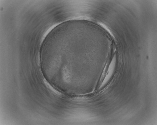 X0000074041468200609111727