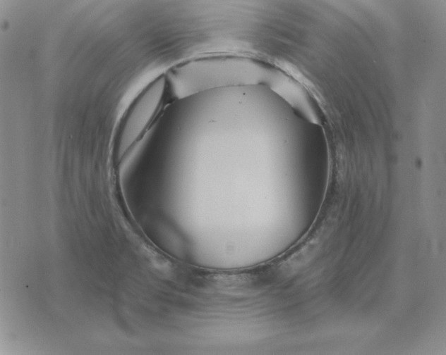 X0000074041469200609111727