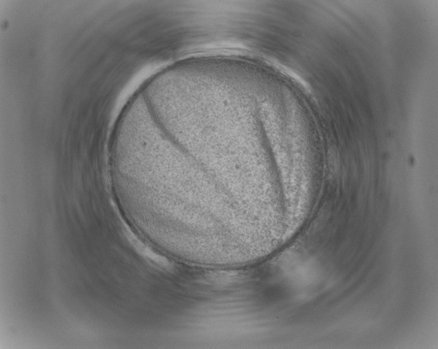 X0000074041470200609111727