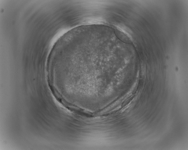 X0000074041471200609111727