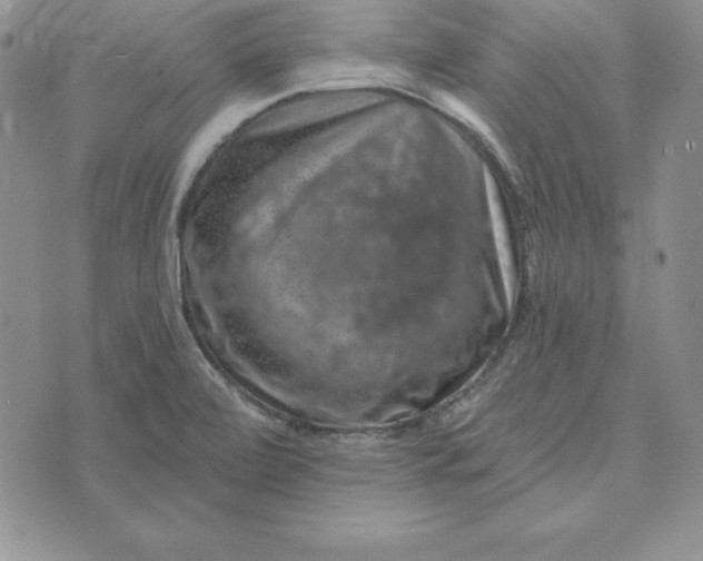 X0000074041472200609111727