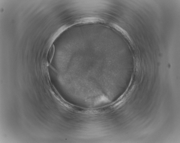 X0000074041473200609111727