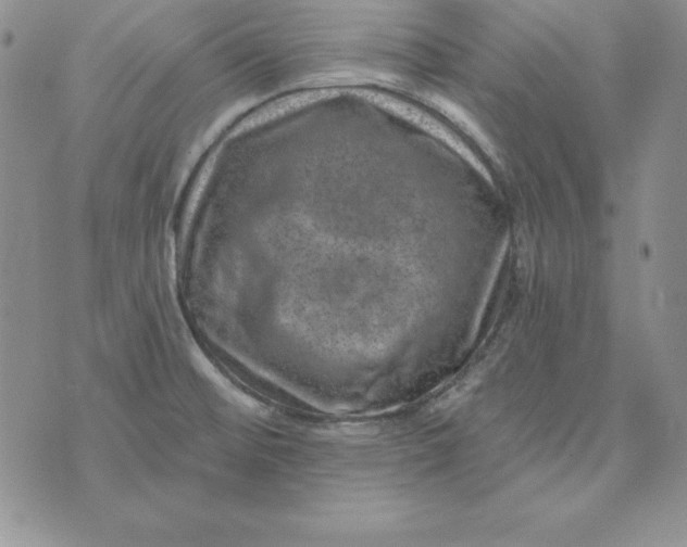 X0000074041476200609111727