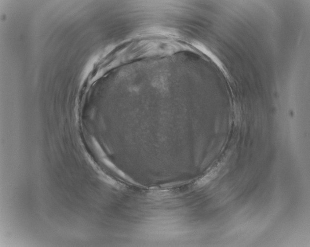 X0000074041477200609111727