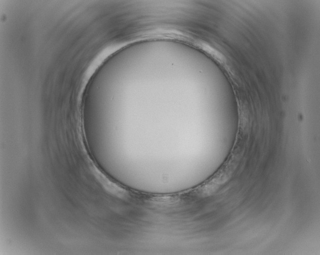 X0000074041478200609111727