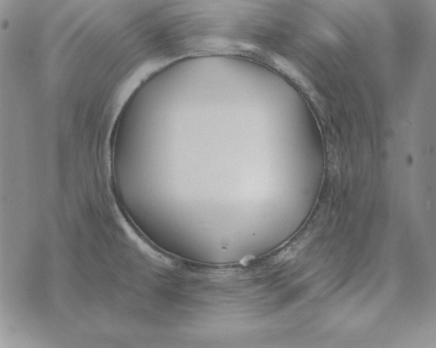 X0000074041479200609111727