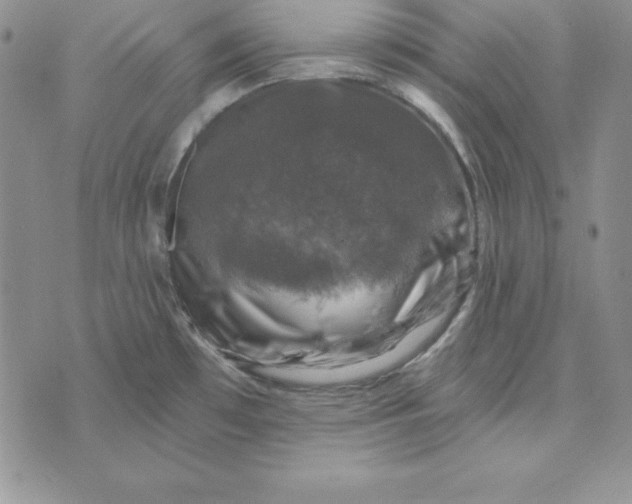 X0000074041481200609111726