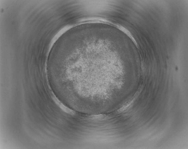 X0000074041482200609111726