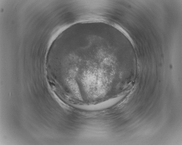 X0000074041485200609111726