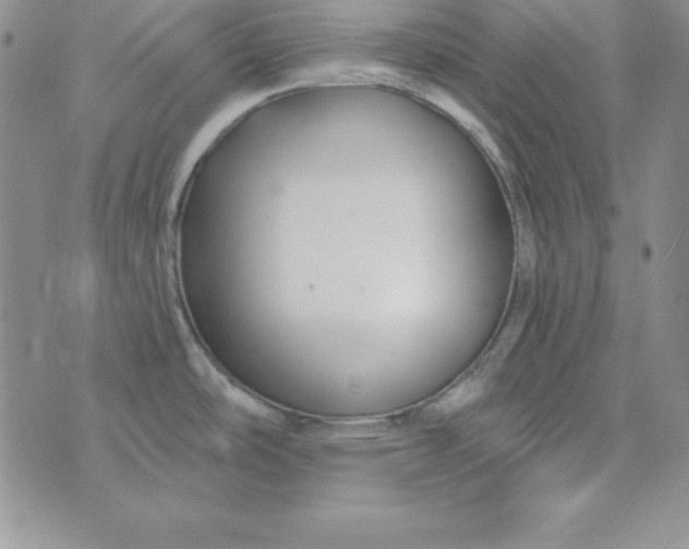 X0000074041486200609111726