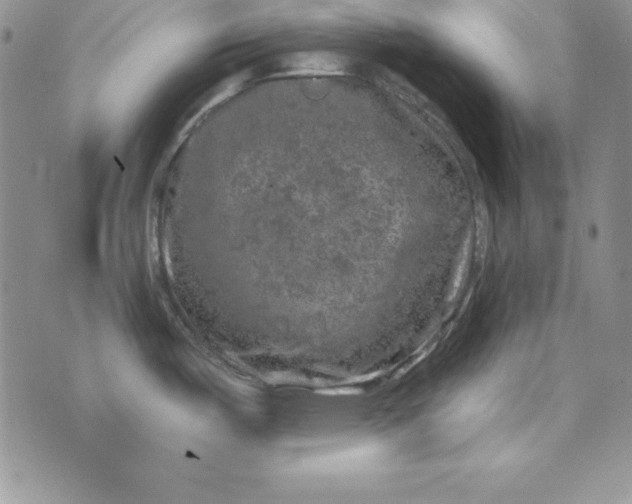 X0000074041487200609111726