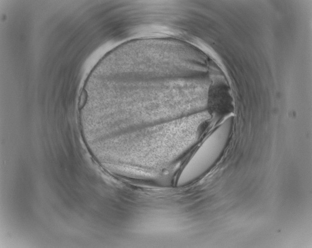 X0000074041488200609111726