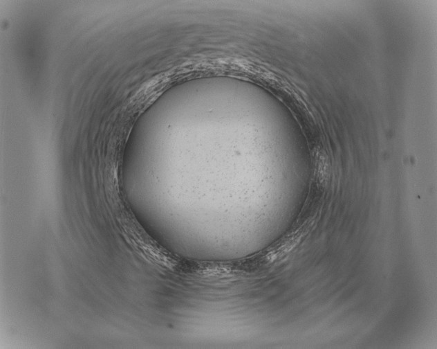 X0000074041489200609111726