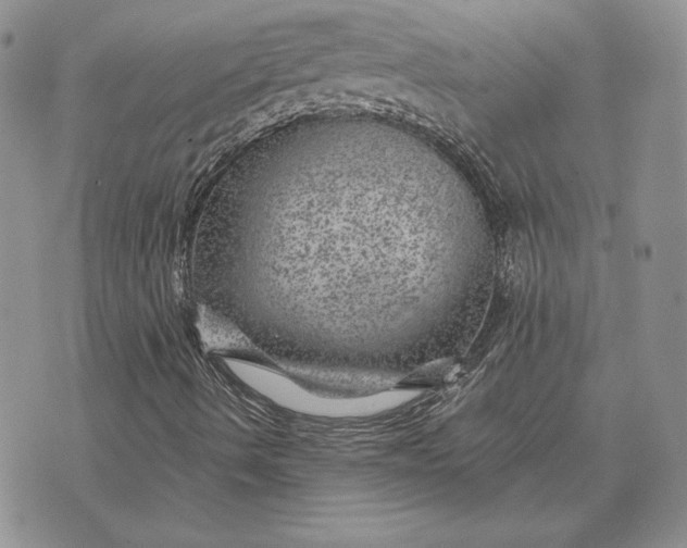 X0000074041490200609111726