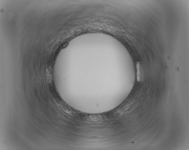 X0000074041491200609111726