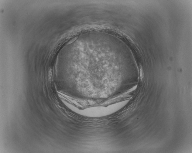 X0000074041492200609111726