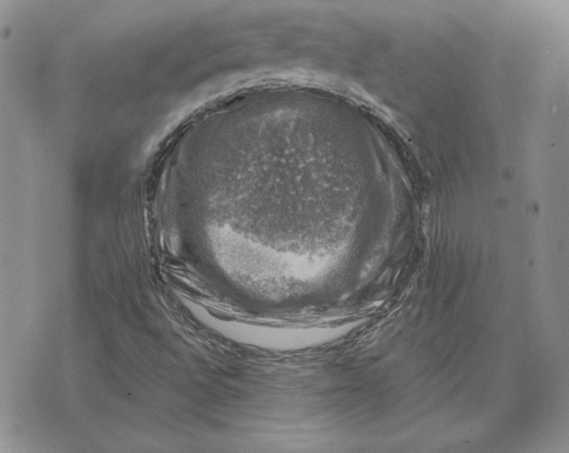 X0000074041496200609111726