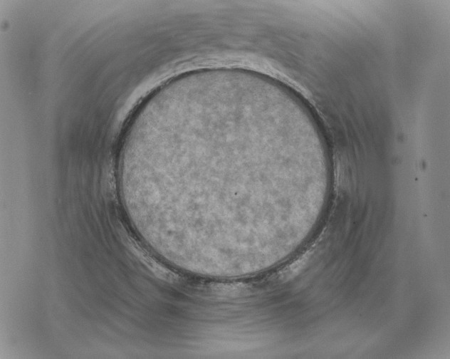 X0000074041498200609111726