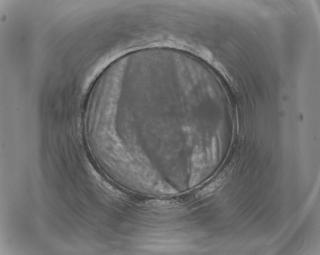 X0000074041500200609111726