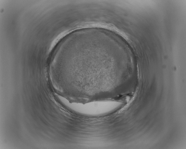 X0000074041501200609111726