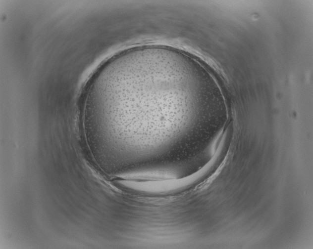 X0000074041502200609111726