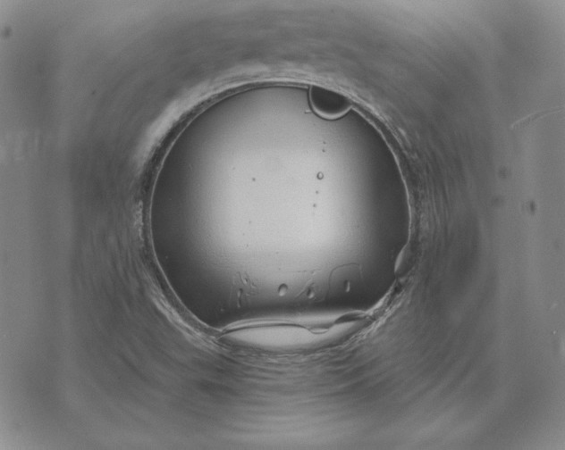 X0000074041503200609111726