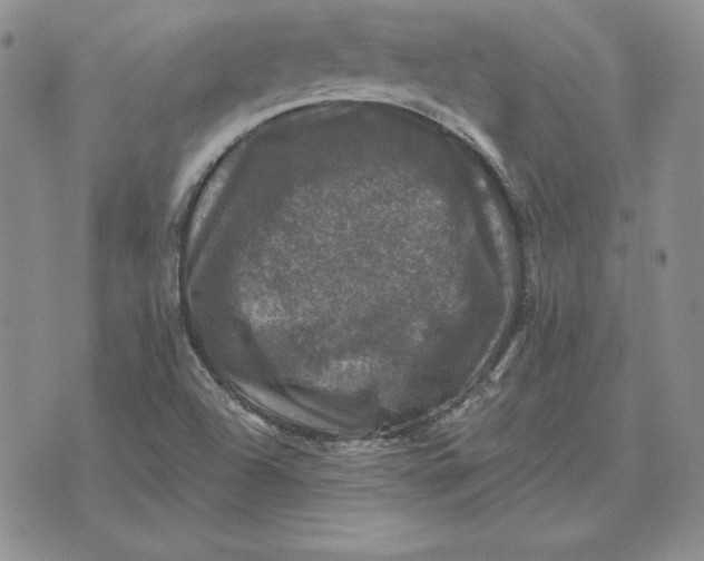 X0000074041504200609111726