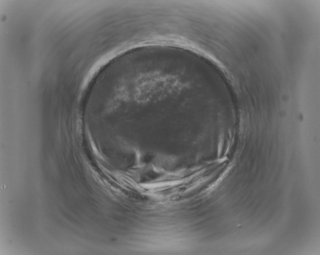 X0000074041506200609111726