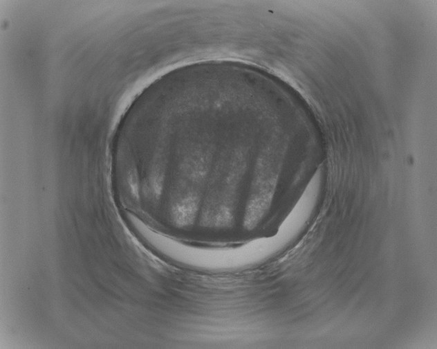 X0000074041508200609111726