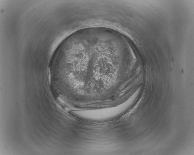 X0000074041509200609111726