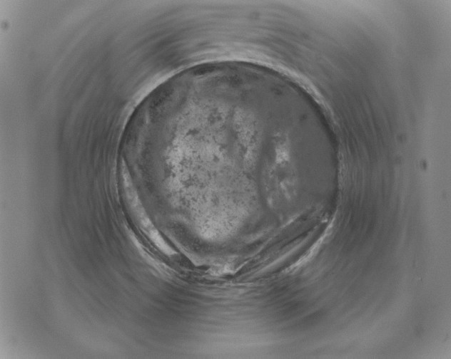 X0000074041513200609111726