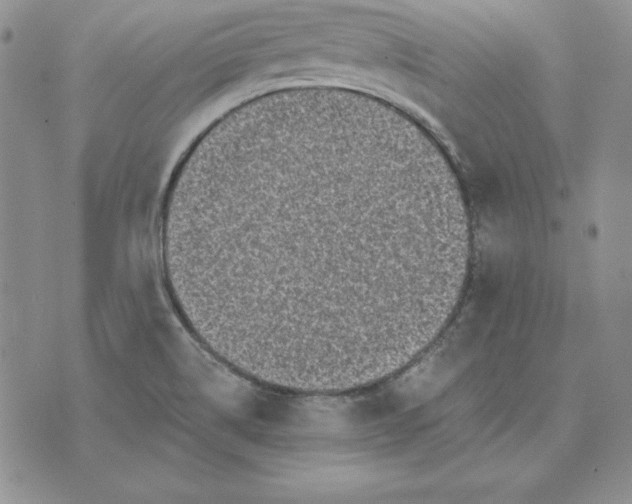 X0000074041514200609111726