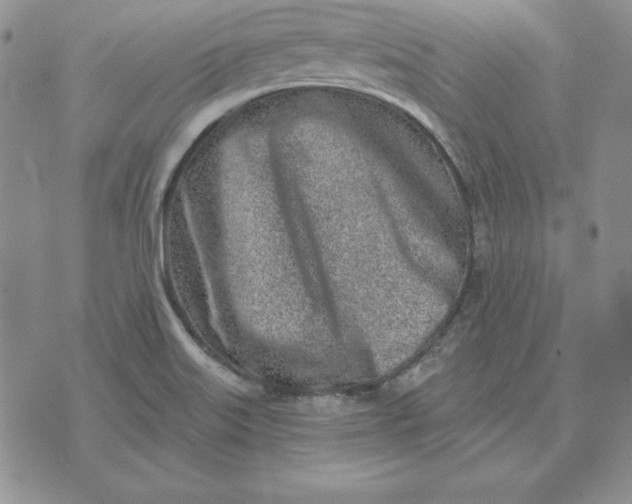 X0000074041515200609111726