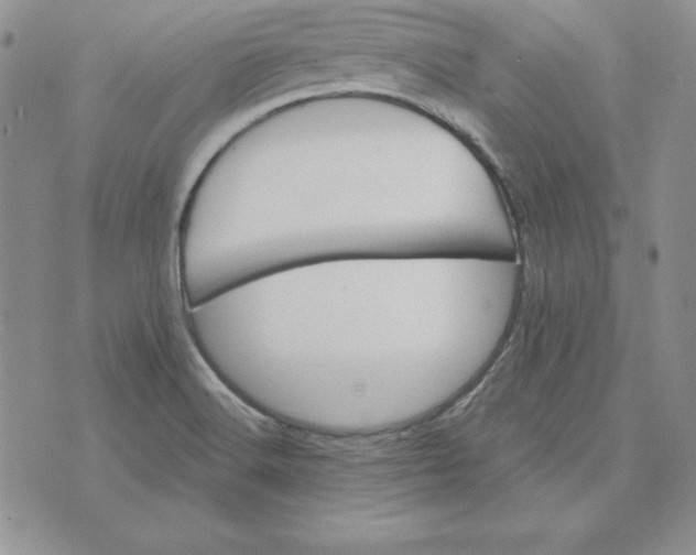 X0000074041516200609111726