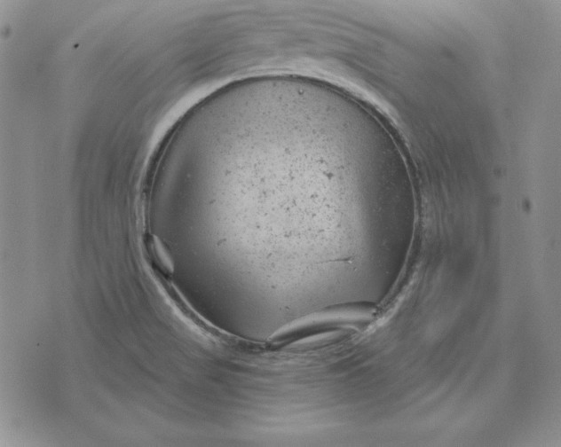 X0000074041517200609111726